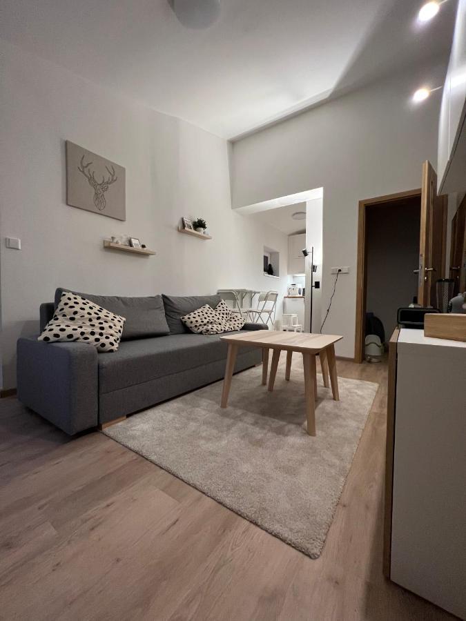Apartman U Potoka Долни-Морава Экстерьер фото
